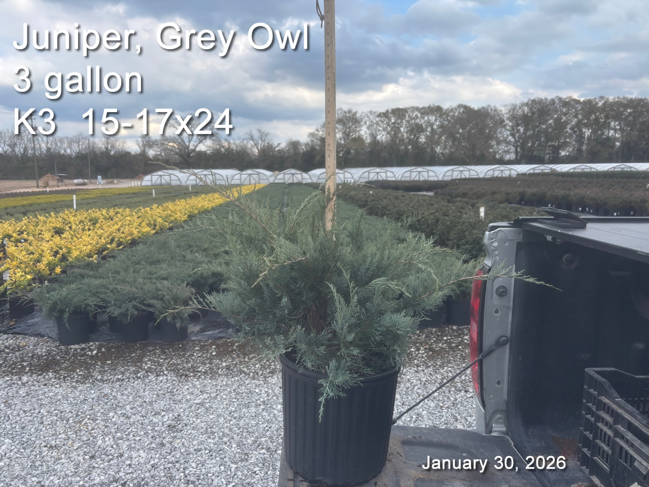 gallery/jgo3 k3 jan30.jpg